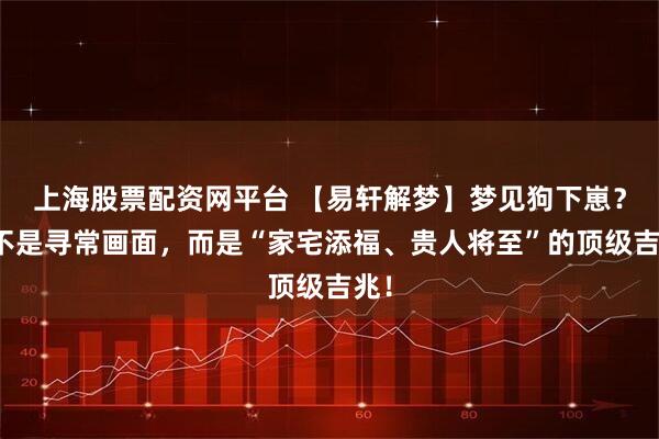上海股票配资网平台 【易轩解梦】梦见狗下崽？这不是寻常画面，而是“家宅添福、贵人将至”的顶级吉兆！
