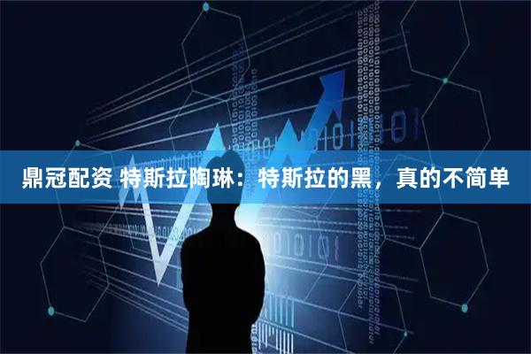 鼎冠配资 特斯拉陶琳：特斯拉的黑，真的不简单
