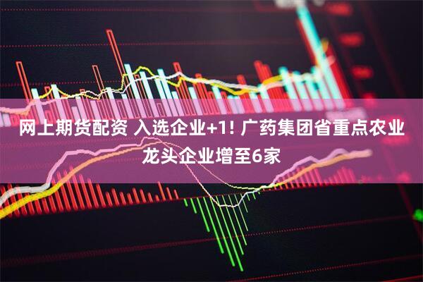 网上期货配资 入选企业+1! 广药集团省重点农业龙头企业增至6家